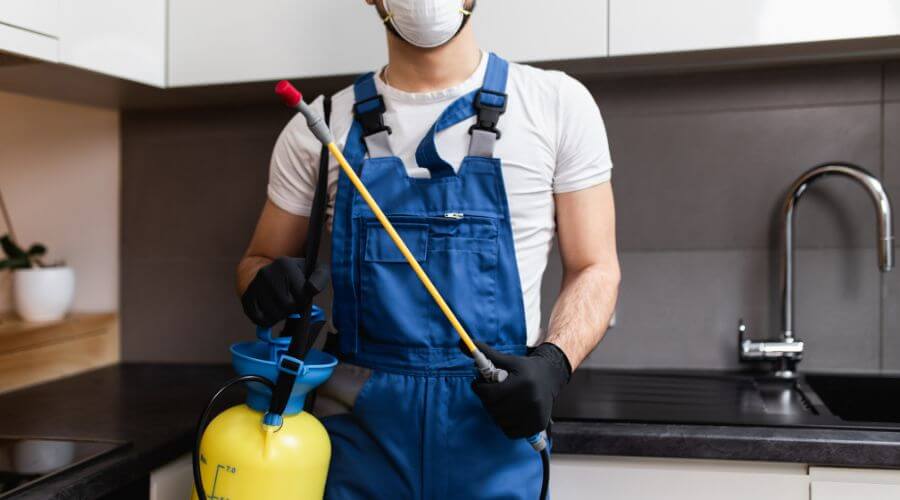 Why choose MMTP Phoenix for monthly mosquito treatment plans in Phoenix